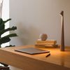 В ARTLIGHT стали доступны к заказу настольные светильники от компании Vibia