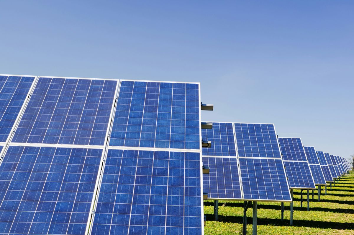 NHPC объявляет тендер на проекты солнечной энергетики мощностью 1,2 тыс. МВт по всей Индии