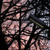 Филиал «Россети Центр Орелэнерго» установил уличные светильники в 8 населенных пунктах Орловской области