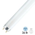 Люминесцентная лампа T8 Osram L 36 W/865 PLUS ECO G13, 1200 mm