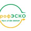 Первая солнечная электростанция в портфеле контрактов «ПрофЭСКО»